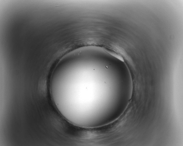 X0000088710250200706071605