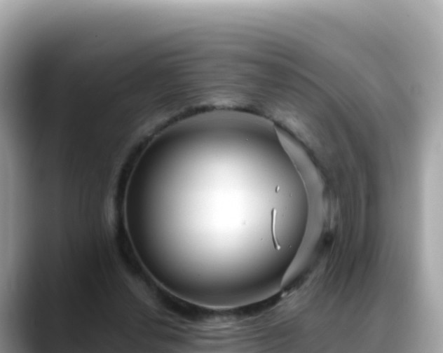 X0000088710252200706071605