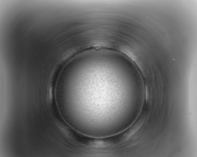 X0000088710253200706071605