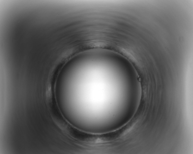 X0000088710254200706071605