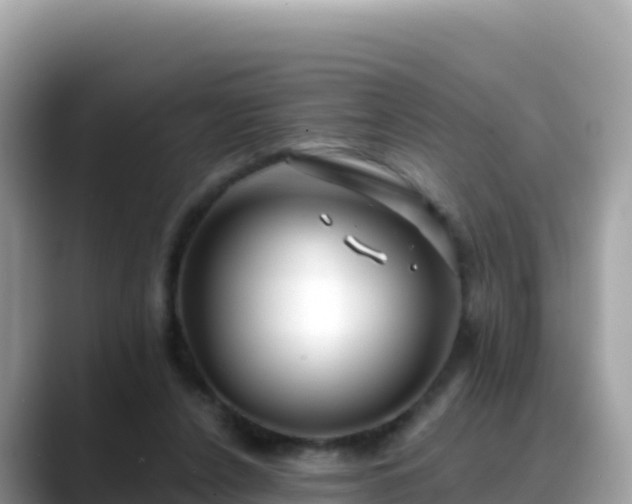 X0000088710256200706071605