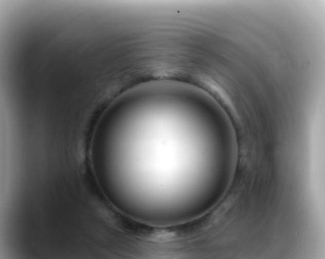 X0000088710257200706071605