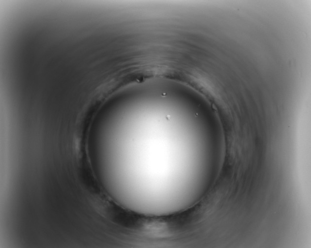 X0000088710258200706071605