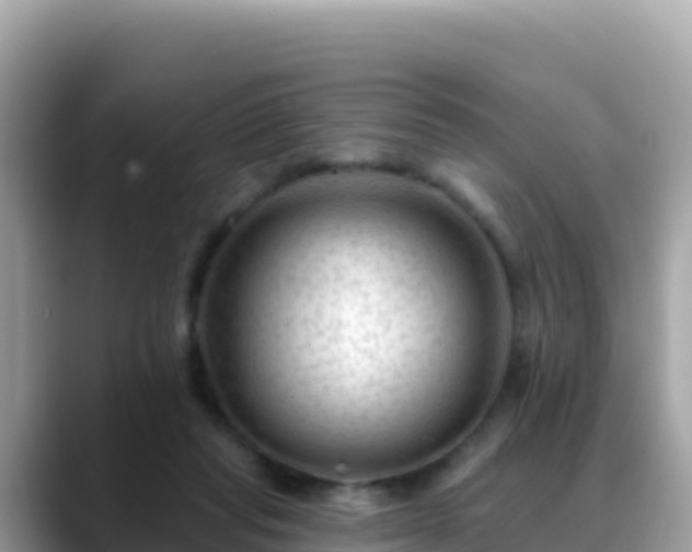 X0000088710261200706071605