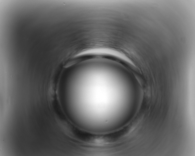 X0000088710264200706071605