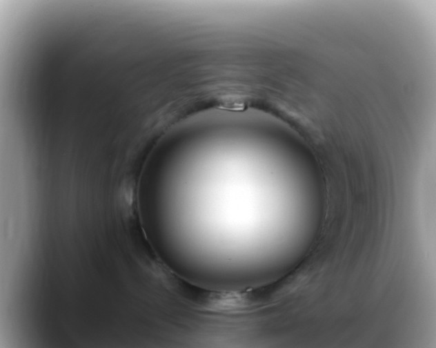 X0000088710288200706071606