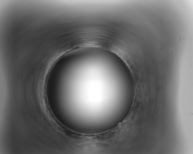 X0000088710289200706071605