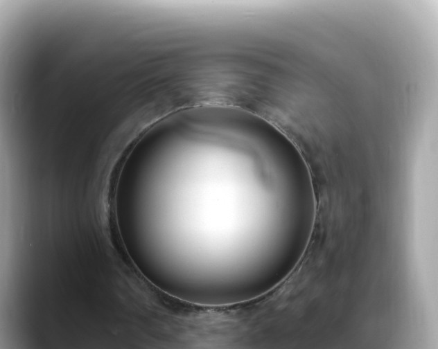 X0000088710290200706071605