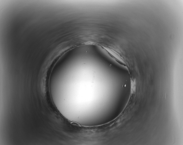 X0000088710291200706071605