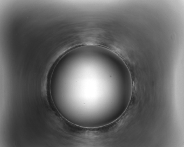 X0000088710292200706071605