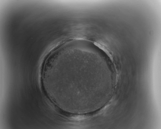 X0000088710293200706071605