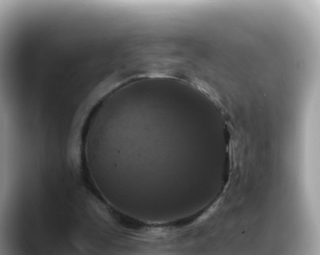 X0000088710295200706071605