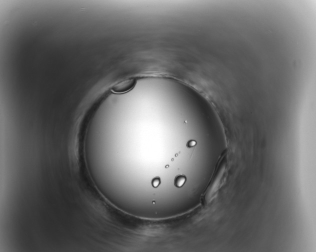 X0000088710296200706071605