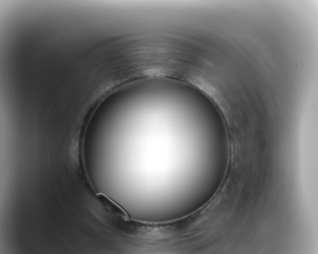 X0000088710297200706071605