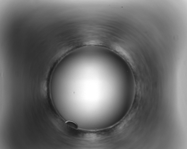 X0000088710298200706071605