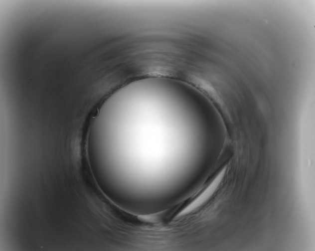 X0000088710299200706071605