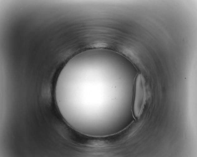 X0000088710300200706071605