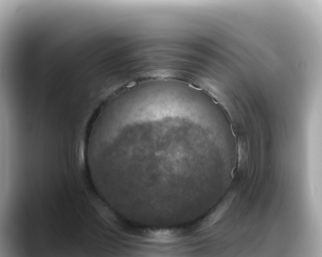 X0000088710301200706071605