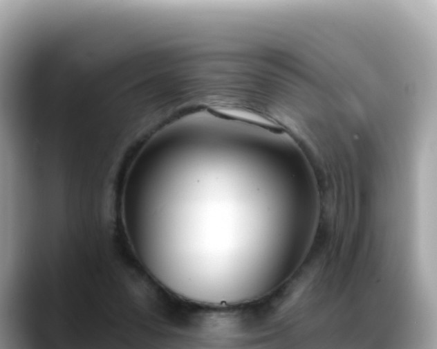 X0000088710303200706071605