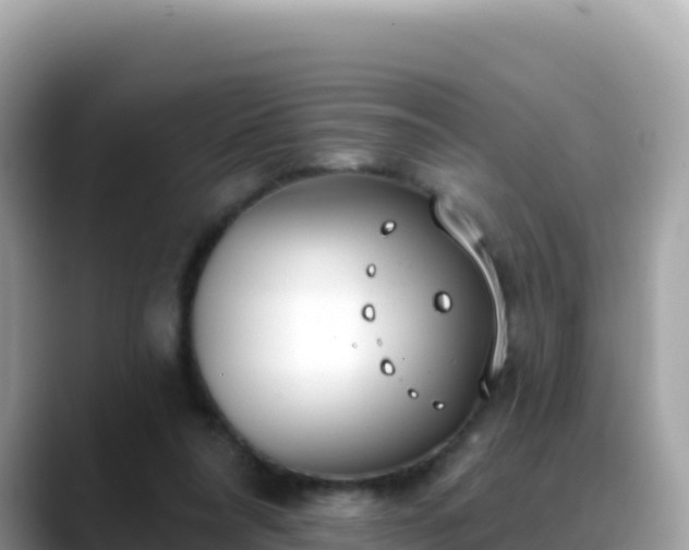 X0000088710304200706071605