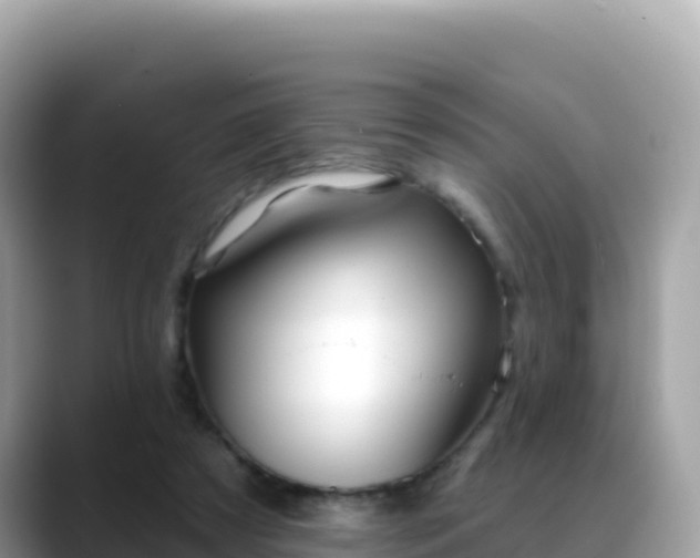 X0000088710305200706071605