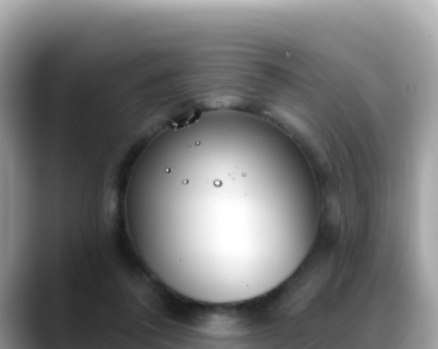 X0000088710308200706071605