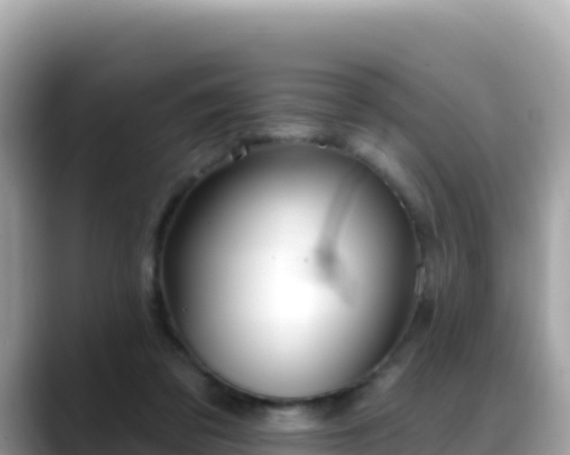 X0000088710309200706071605