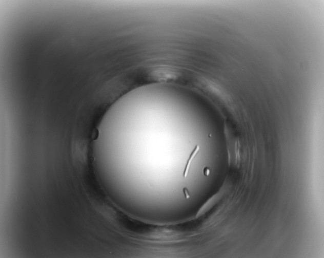 X0000088710315200706071605