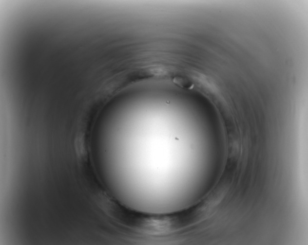 X0000088710317200706071605