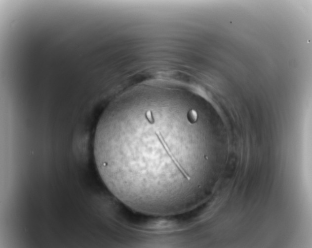 X0000088710319200706071605