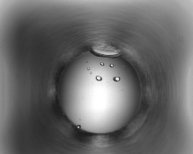 X0000088710320200706071605