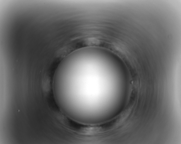 X0000088710323200706071605