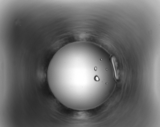 X0000088710324200706071605