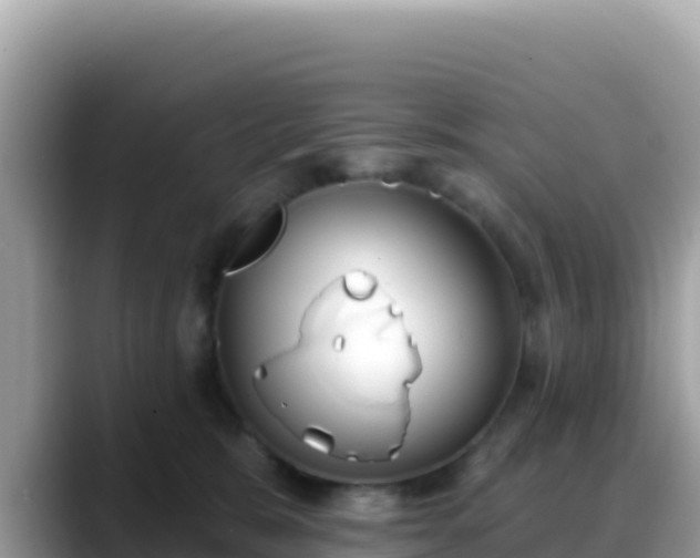 X0000088710327200706071605