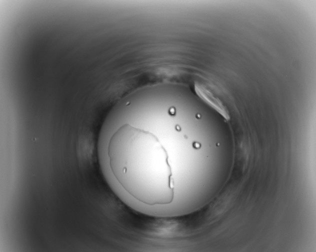 X0000088710328200706071605