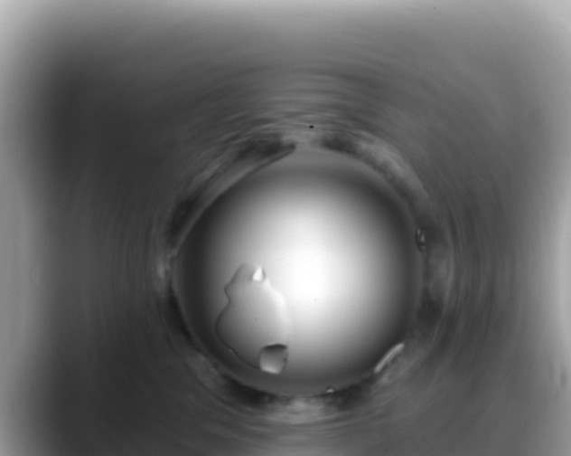 X0000088710329200706071605