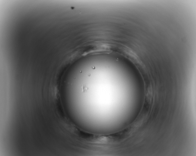 X0000088710330200706071605