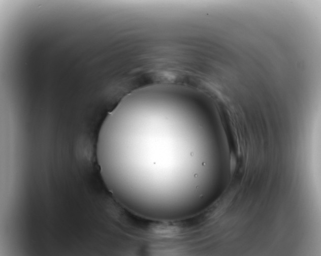 X0000088710331200706071605