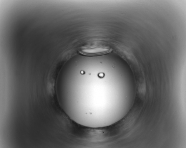 X0000088710332200706071605