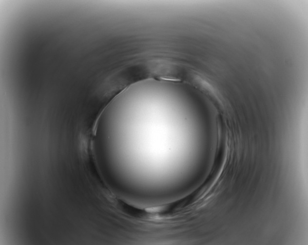 X0000088710333200706071605