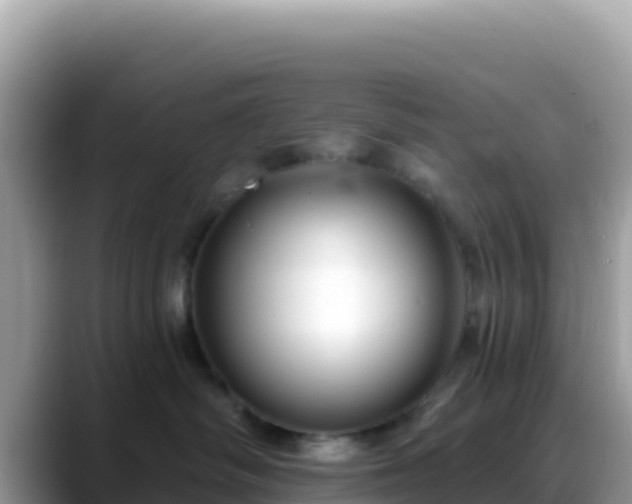 X0000088710334200706071605