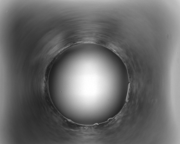 X0000088710338200706071604