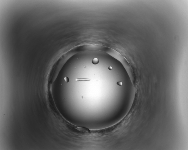 X0000088710340200706071604