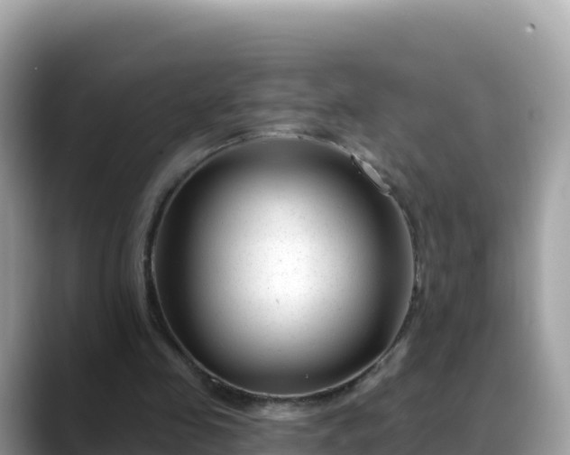 X0000088710341200706071604