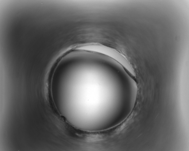 X0000088710342200706071604