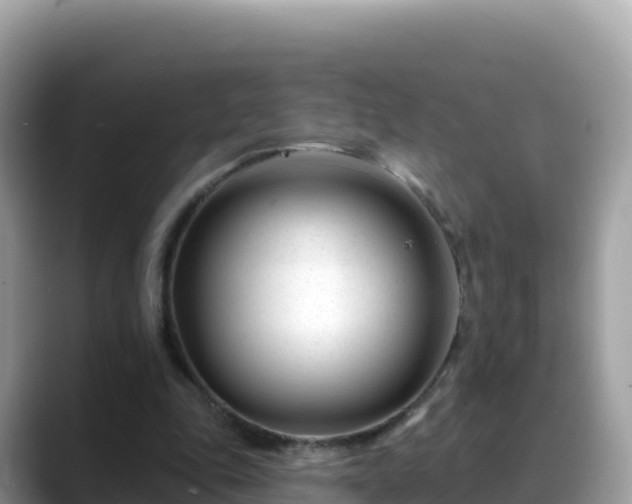 X0000088710343200706071604