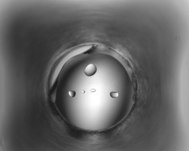 X0000088710344200706071604