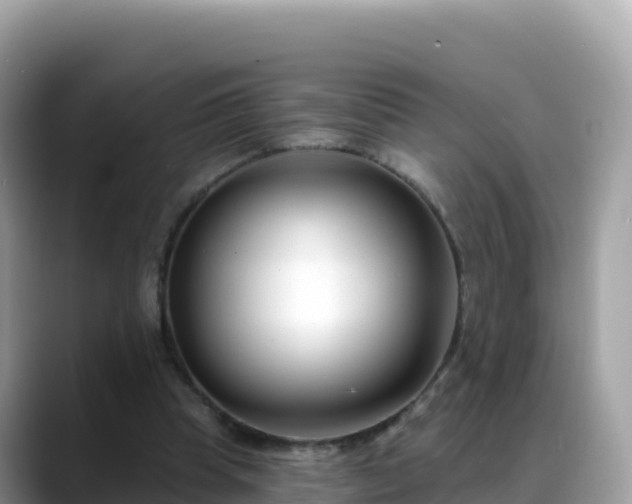 X0000088710345200706071604