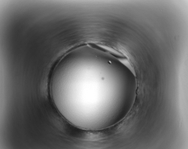 X0000088710346200706071604