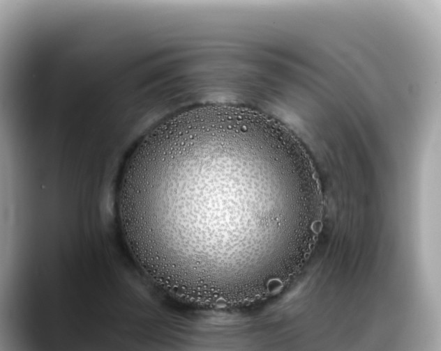 X0000088710347200706071604